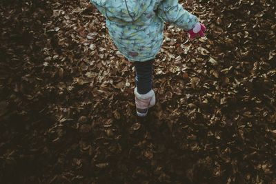 Low section of child standing on leaves covered field