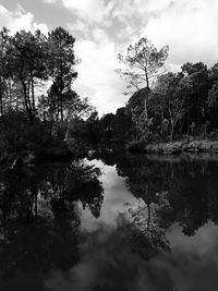 Reflection of trees in lake against sky