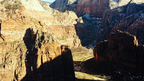 Shadow of tree on the wall