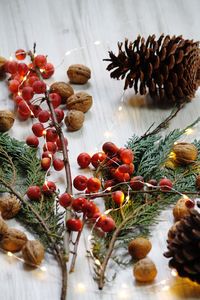 High angle view of berries on table