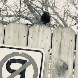 Close-up of road sign on snow