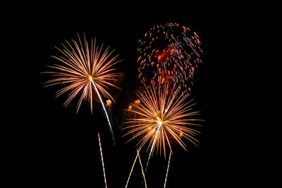 Low angle view of firework display against sky at night