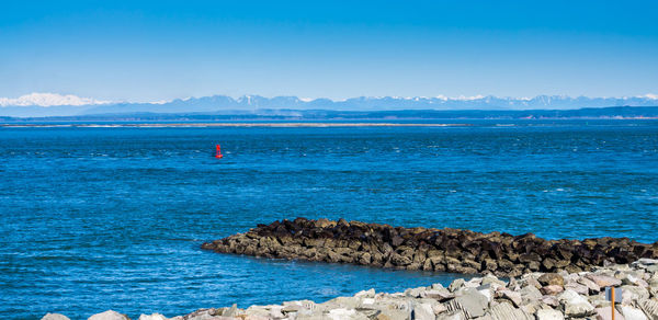 Scenic view of sea against blue sky