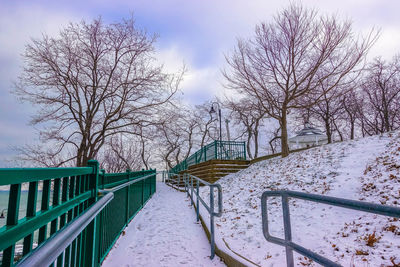 Bare trees against sky during winter