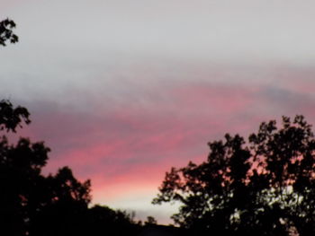 Silhouette trees against sky during sunset