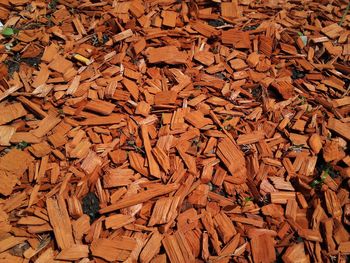 Full frame shot of autumnal leaves on wooden surface