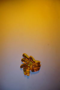 High angle view of leaf on table