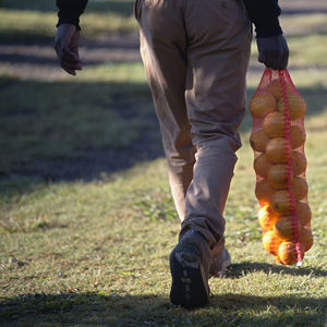 Low section of man standing on field