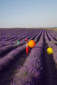 Fashionable baby boy in colorful clothes with dot holds balloon in blooming lavender field in summer