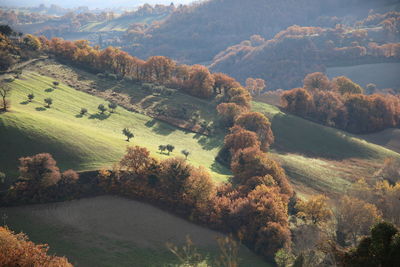 High angle view of trees on landscape during autumn