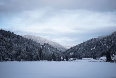 Trees on snow covered landscape against sky