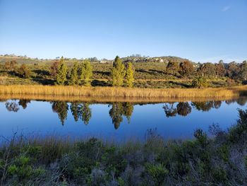 Scenic view of lake against clear blue sky