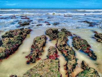 Low angle view of rocks on beach against sky