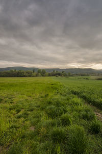 Scenic view of field against cloudy sky