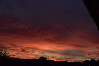 Low angle view of silhouette trees against sky during sunset