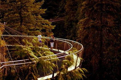 Man and woman standing on curved bridge in forest