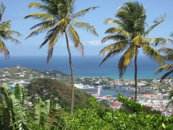 High angle view of palm trees by sea against sky