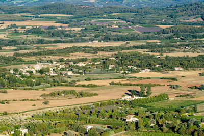 High angle view of agricultural field