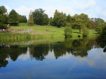 Reflection of trees in pond