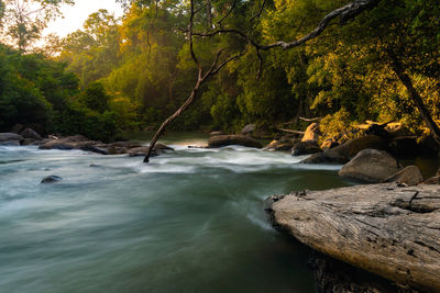 River flowing through rocks in forest