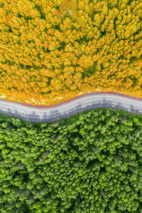 High angle view of road