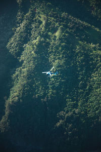 High angle view of airplane flying in the water