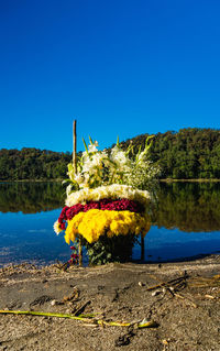 Scenic view of lake against clear blue sky