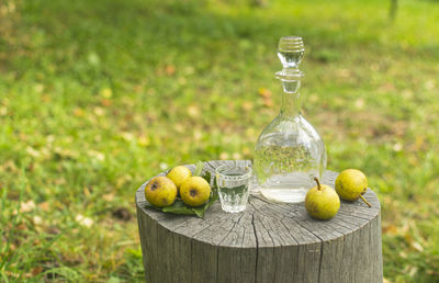 Glass of apple on table