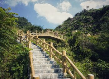 View of stairs against trees