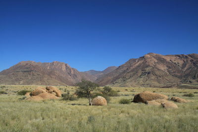 Landscape near brandberg in namibia 