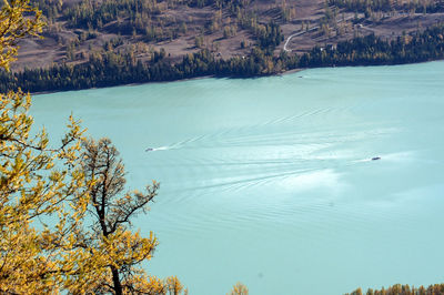 High angle view of lake and trees