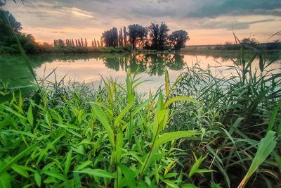 Scenic view of lake against sky during sunset