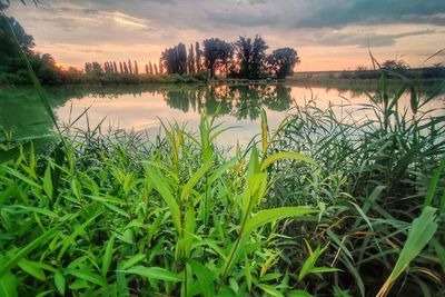 Scenic view of lake against sky during sunset