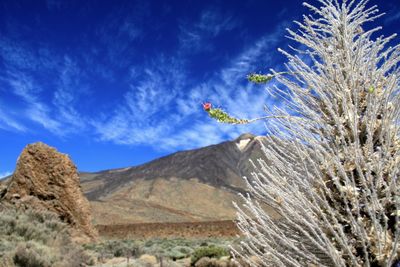 Low angle view of birds flying over mountain against sky