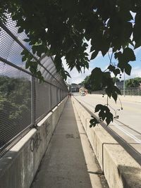 View of footpath along trees