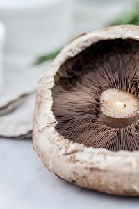 Close-up of mushroom on table