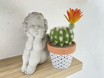 Close-up of potted plant on table against wall