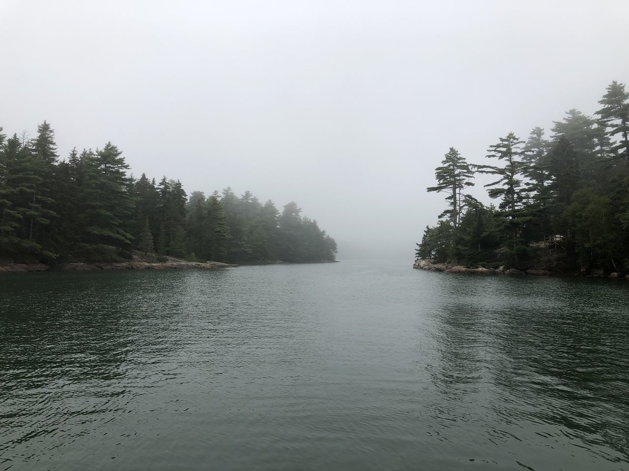 SCENIC VIEW OF LAKE BY TREES AGAINST SKY