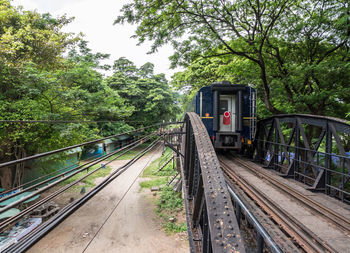 Train on railroad track amidst trees