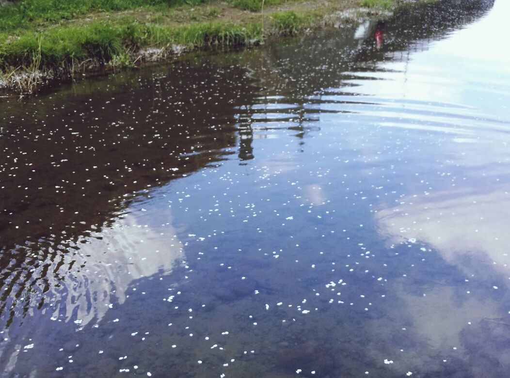 water, reflection, high angle view, lake, puddle, waterfront, wet, standing water, nature, pond, tranquility, day, river, outdoors, floating on water, no people, beauty in nature, season, rain, plant