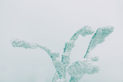 Close-up of snow against white background