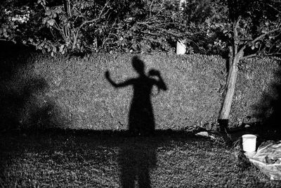 Shadow of person on field