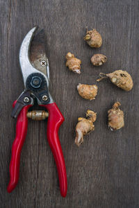 Directly above shot of pliers by ginger on wooden table