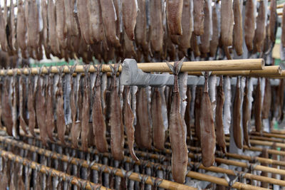 Close-up of drying fishes which are herrings and saury