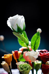 Close-up of rose bouquet against black background