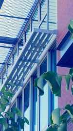 Close-up of multi colored wall