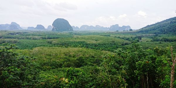 Scenic view of landscape against sky