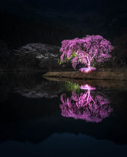 Scenic view of lake against sky at night