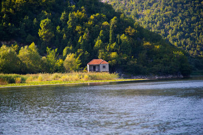 Scenic view of lake by house in forest