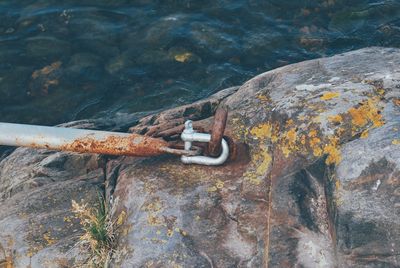 Close-up of rusty chain on rock